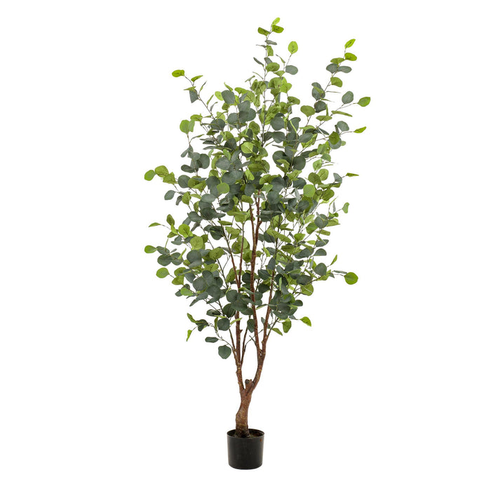 Kunstplant - Eucalyptus - Blauwe Gomboom  - 140