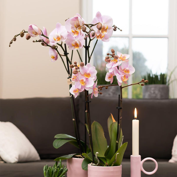 Kolibri Home | Glazed bloempot - Roze keramieken sierpot met glans - Ø12cm