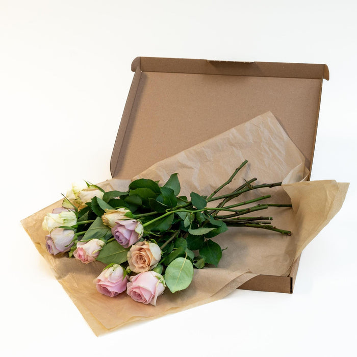 Letterbox Roses Sweet Pink | 35cm length