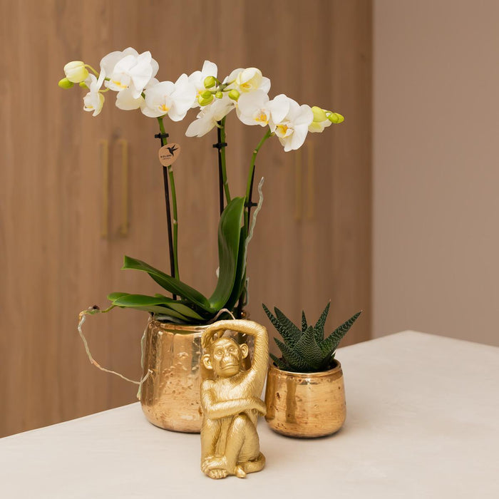 Kolibri Home | Luxury bloempot - Gouden keramieken sierpot - Ø6cm