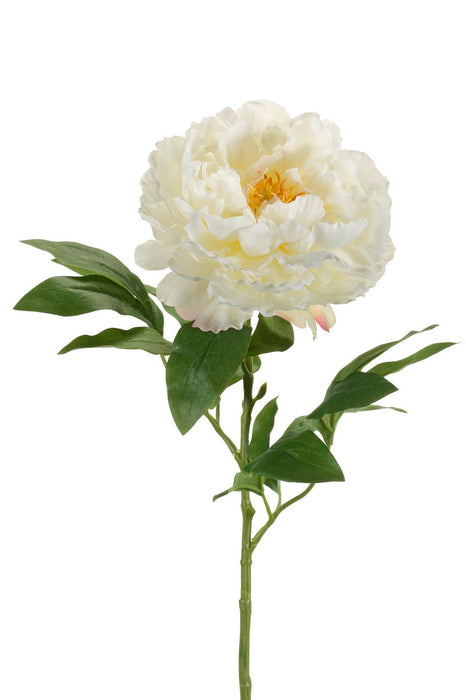 Kunstbloemen Solo - Crème - Peonies - x 5 - 65cm