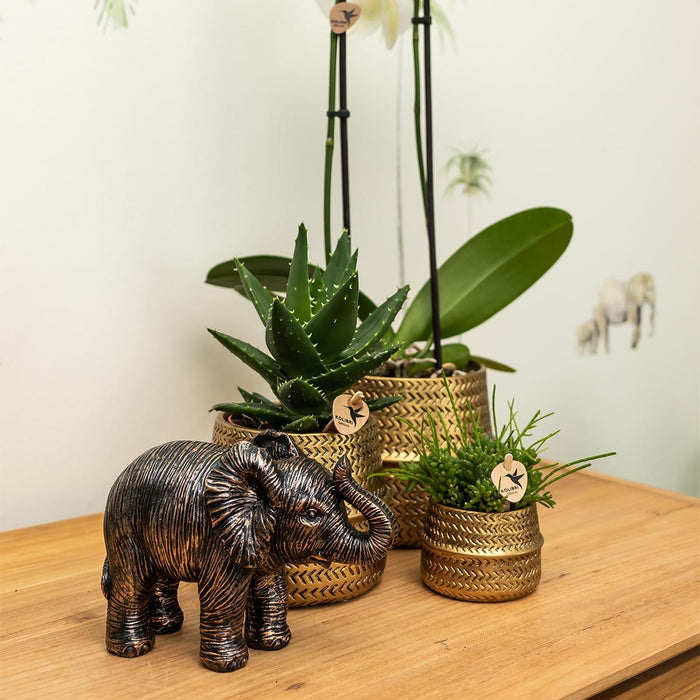 Kolibri Home | Ornament - Decoratie beeld Elephant - Black