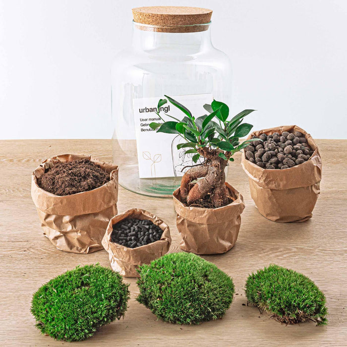 DIY terrarium - Milky met bonsai - ↕ 30 cm + RSTS - Rake + Shovel + Tweezer