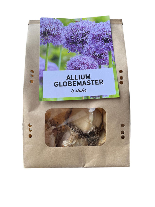 Globemaster - Allium bollen - 5 stuks - Bloembollen