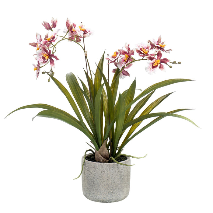 Kunstplant - Orchidee - Bordeaux - 45cm