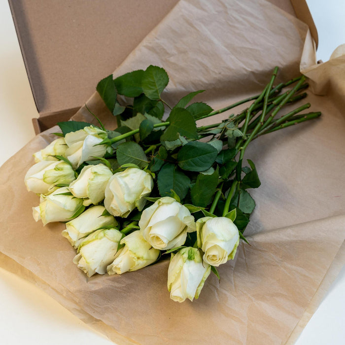 Letterbox Roses White | 35cm length