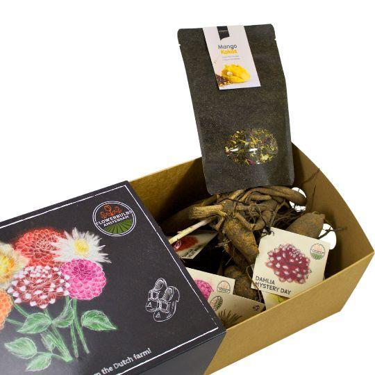 Flowerbulbs Amsterdam - Dutch Dahlia Box L, set van 6 dahlia's + Mango Kokos Thee, geschenk