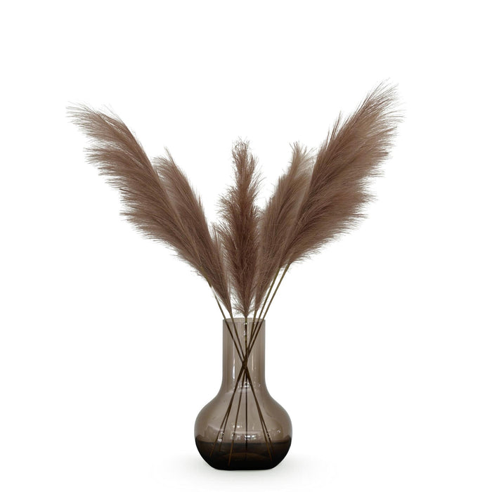 Kunstbloemen Solo - x 6 - 115cm - Pampas Plumes - Brown