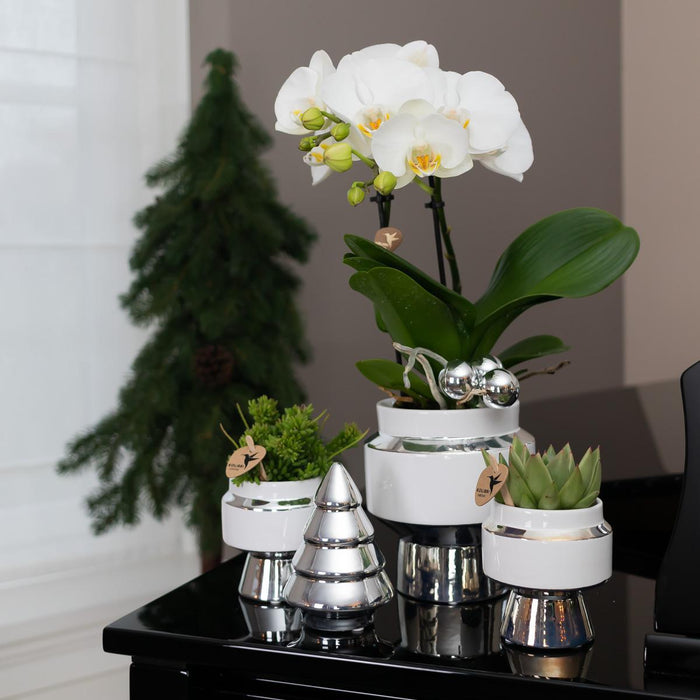 Kolibri Home | Le Chic bloempot - Witte keramieken sierpot met zilveren details - Ø6cm