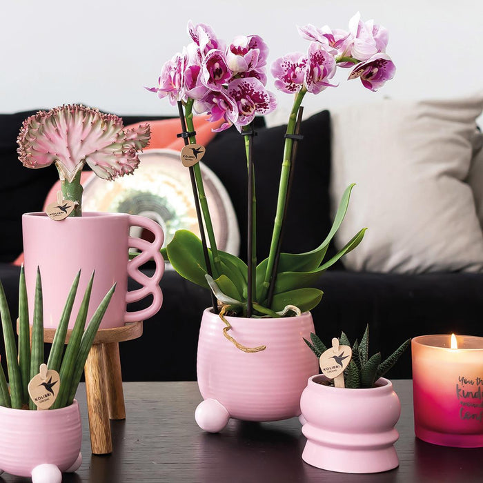 Kolibri Home | Rolling roze bloempot - roze keramieken sierpot - Ø9cm