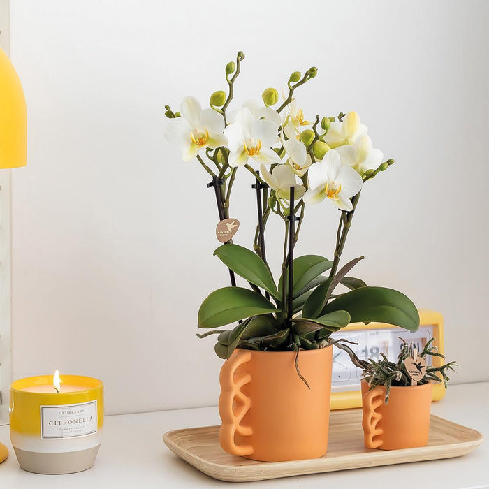 Kolibri Home | Happy Mug bloempot - peach kleurige keramieken sierpot - Ø9cm