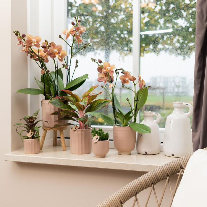 Kolibri Home | Glazed bloempot - Zandkleurige keramieken sierpot met glans - Ø9cm