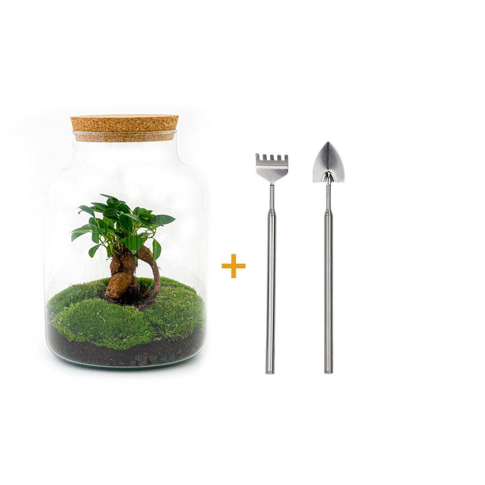 DIY terrarium - Milky met bonsai - ↕ 30 cm + RSTS - Rake + Shovel