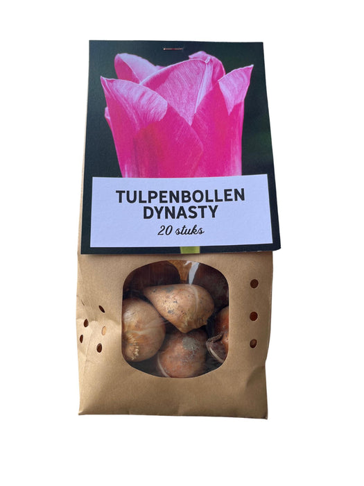 Dynasty - Tulpenbollen - 20 stuks - Bloembollen