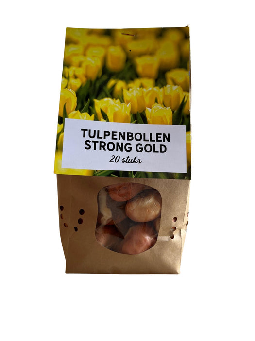 Strong gold - Tulpenbollen - 20 stuks - Bloembollen