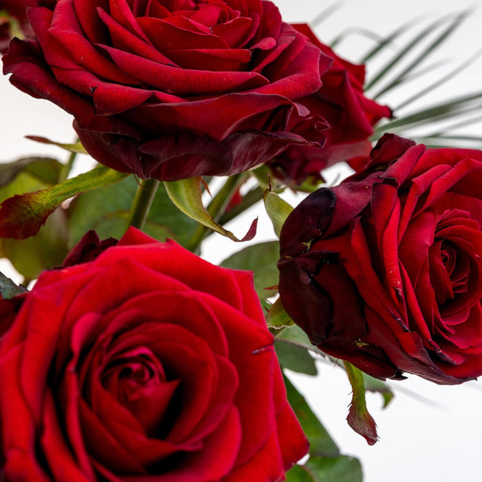 Bouquet Red Roses X Vase Sandy