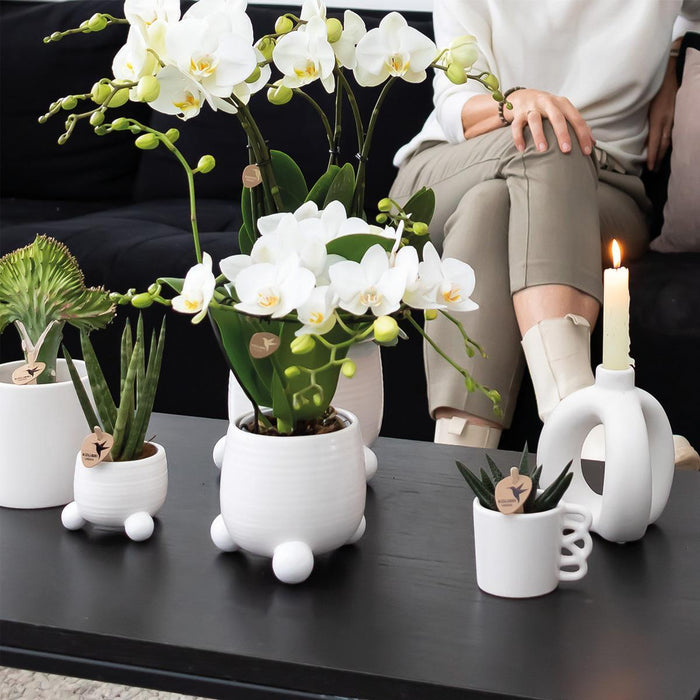 Kolibri Home | Happy Mug bloempot - witte keramieken sierpot - Ø9cm