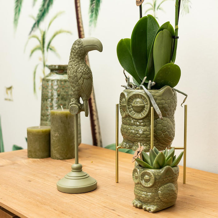 Kolibri Home | Owl bloempot - Groene keramieken sierpot - Ø6cm