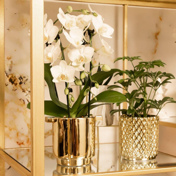 Kolibri Home | Metallic diamond bloempot - Gouden keramieken sierpot Ø9cm