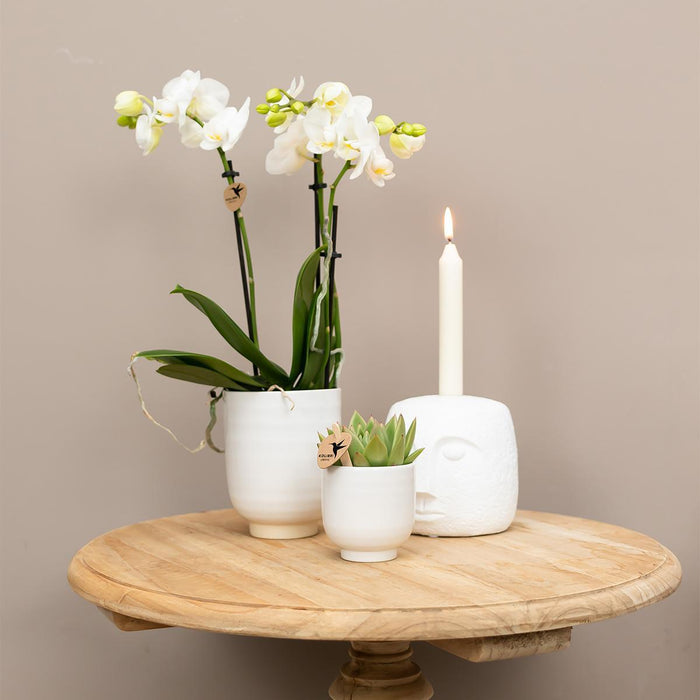 Kolibri Home | Glazed bloempot - Witte keramieken sierpot met glans - Ø9cm