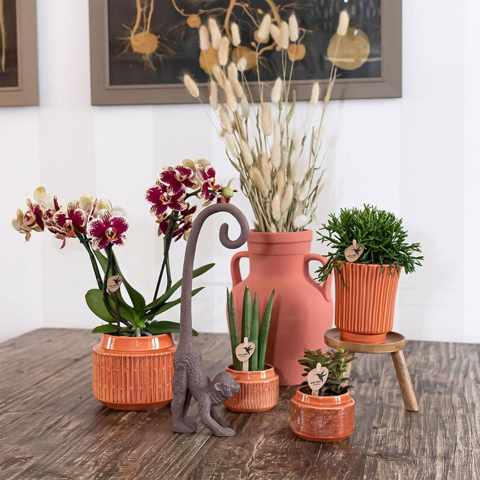 Kolibri Home | Retro terracotta bloempot - terracotta kleurige keramieken sierpot - Ø9cm