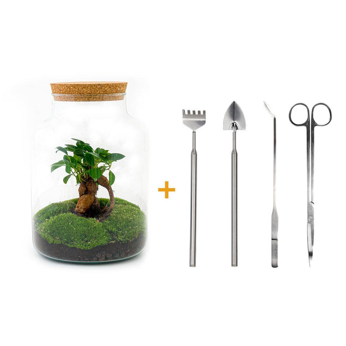 DIY terrarium - Milky met bonsai - ↕ 30 cm + RSTS - Rake + Shovel + Tweezer + Scissors