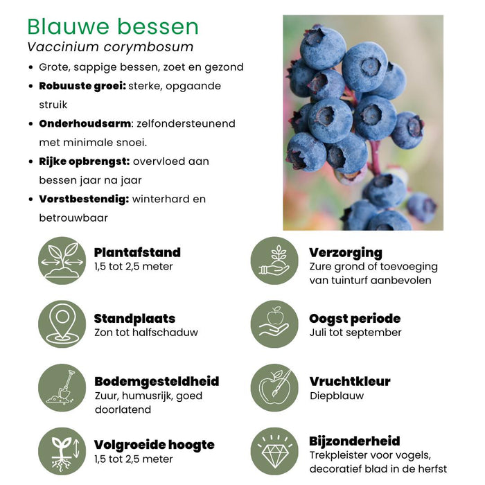 "Vruchten oase" BIO Fruitplanten mix set van 5 verschillende soorten