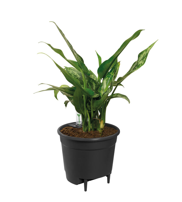 Self Watering Insert - 36 cm