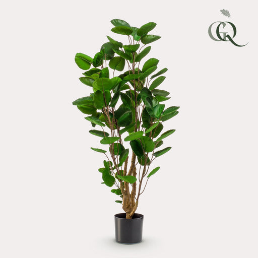 kunstplant-polyscias-aralia-105-cm