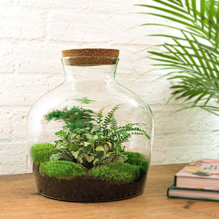 diy-terrarium-fat-joe-groen-↕-30-cm-rake-shovel-tweezer