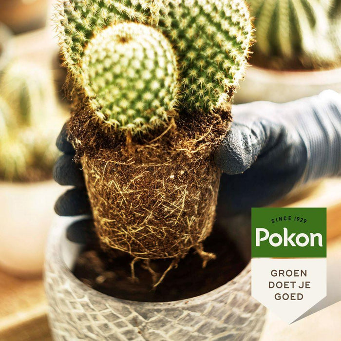 pokon-cactus-vetplant-250ml-voeding