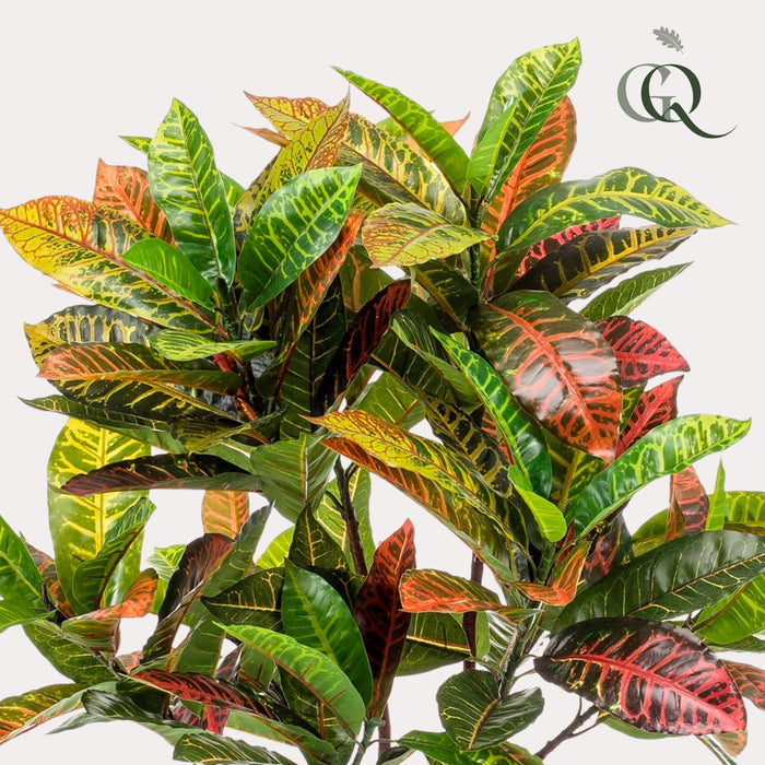 kunstplant-croton-codiaeum-wonderstruik-120-cm