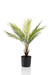 kunstplant-chamaedorea-bergpalm-50-cm