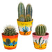 cactus-mix-8-5-cm-3x-in-mexicaanse-pot