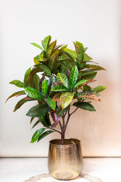 kunstplant-croton-codiaeum-wonderstruik-120-cm