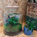 diy-terrarium-lukas-↕-33-cm-rake-shovel