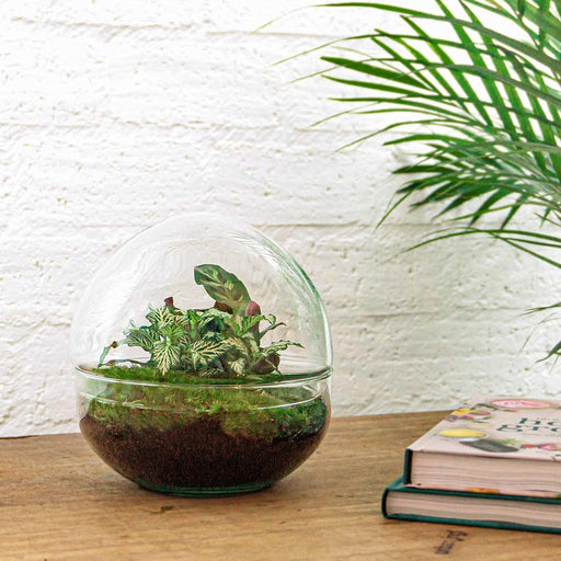 diy-terrarium-dome-↕-20-cm-rake-shovel-tweezer-scissors