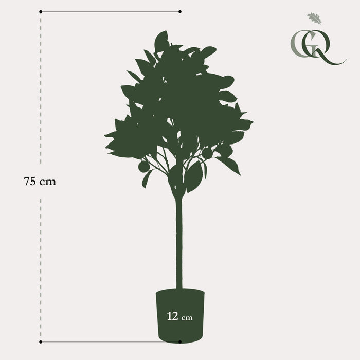 kunstplant-citrus-sinensis-sinaasappelboom-75-cm