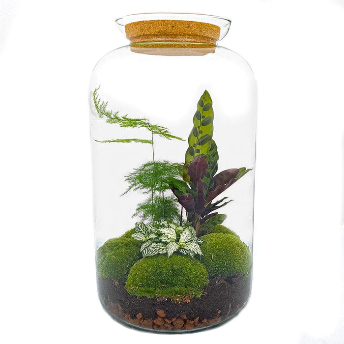 diy-terrarium-botanical-sven-xl-↕-43-cm-rake-shovel-tweezer-scissors