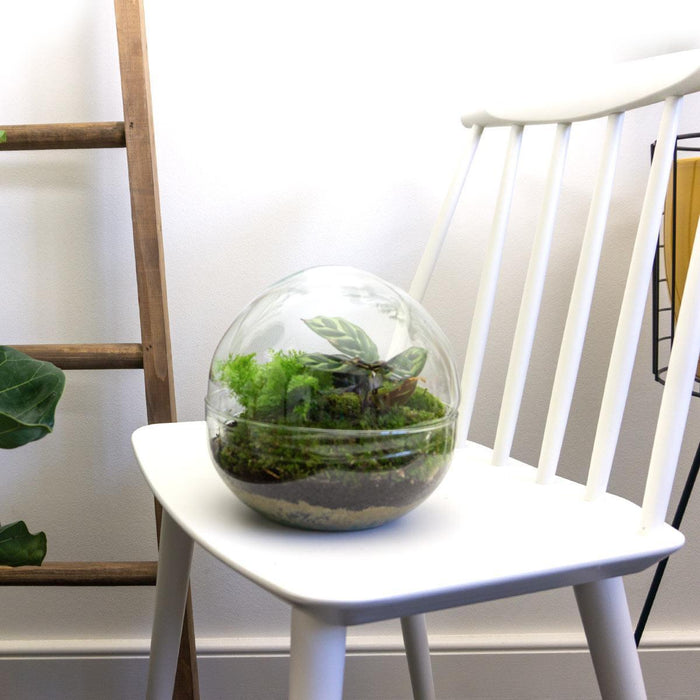 diy-terrarium-dome-↕-20-cm-rake-shovel-tweezer-scissors