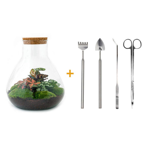 diy-terrarium-sam-xl-rood-↕-35-cm-rake-shovel-tweezer-scissors