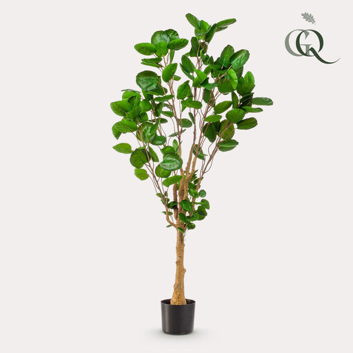 kunstplant-polyscias-aralia-150-cm