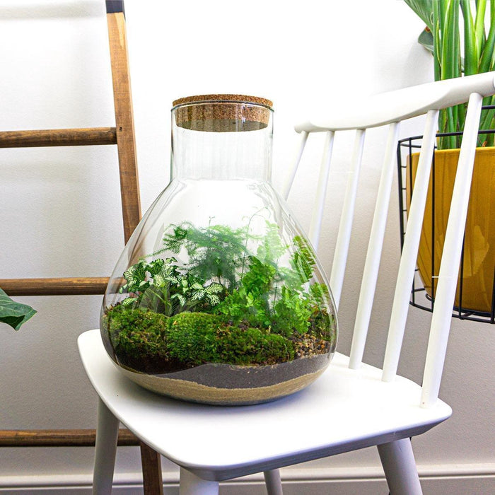 diy-terrarium-sam-xl-↕-35-cm-rake-shovel-tweezer