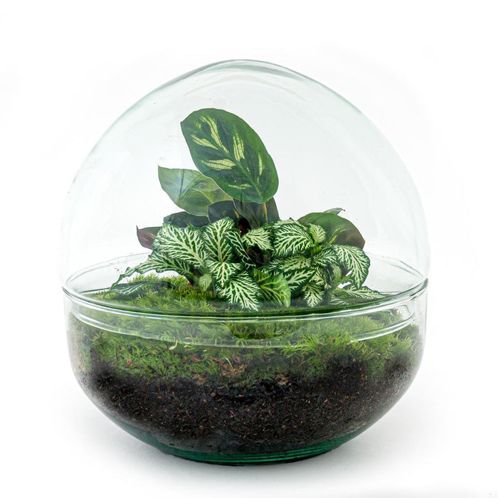 diy-terrarium-dome-↕-20-cm-rake-shovel-tweezer-scissors