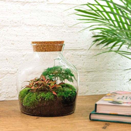 diy-terrarium-little-joe-↕-21-5-cm-rake-shovel