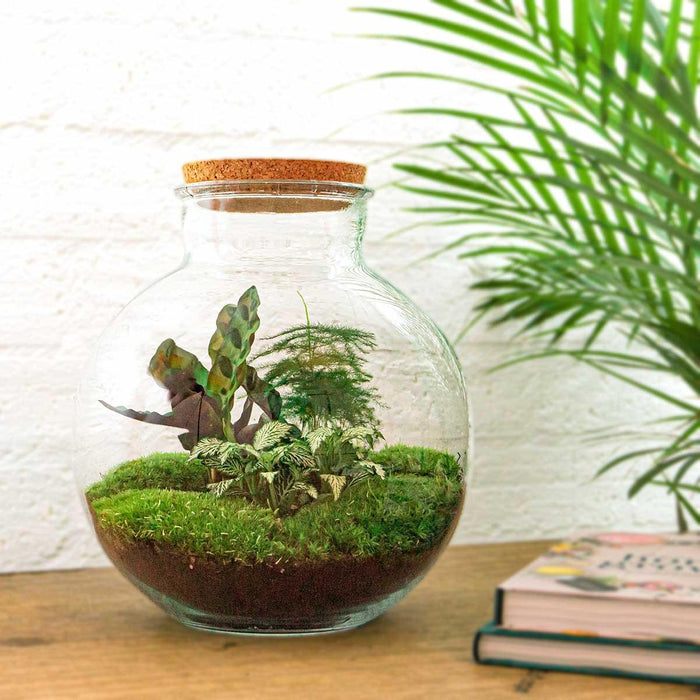 diy-terrarium-bolder-bob-↕-30-cm-rake-shovel