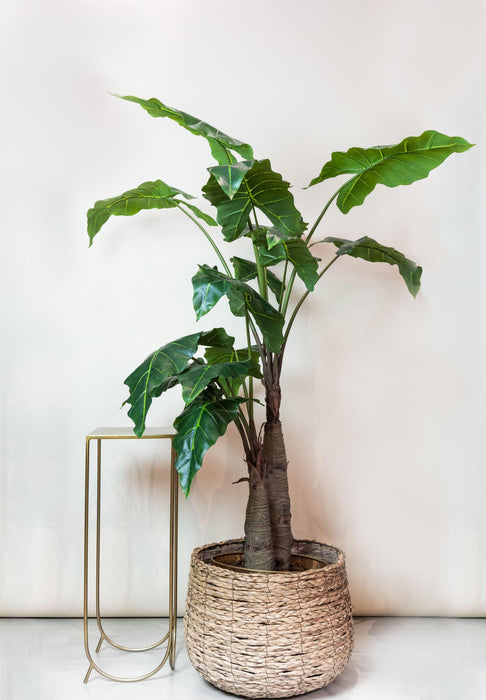 kunstplant-alocasia-olifantsoor-180-cm