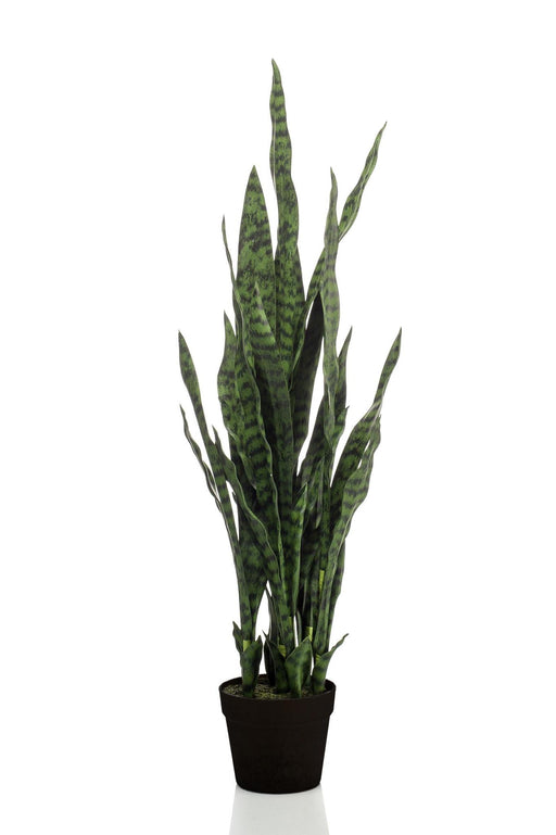 kunstplant-sanseveria-black-coral-vrouwentong-97-cm