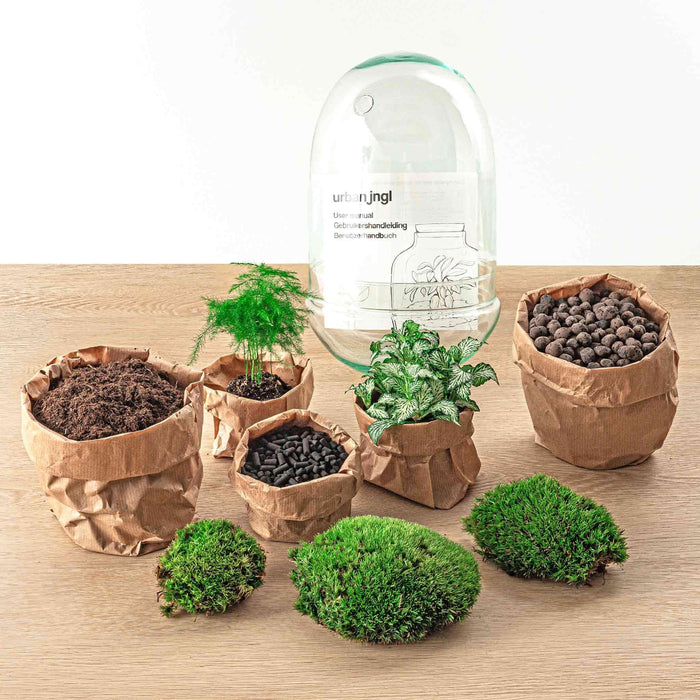 diy-terrarium-egg-xl-↕-30-cm