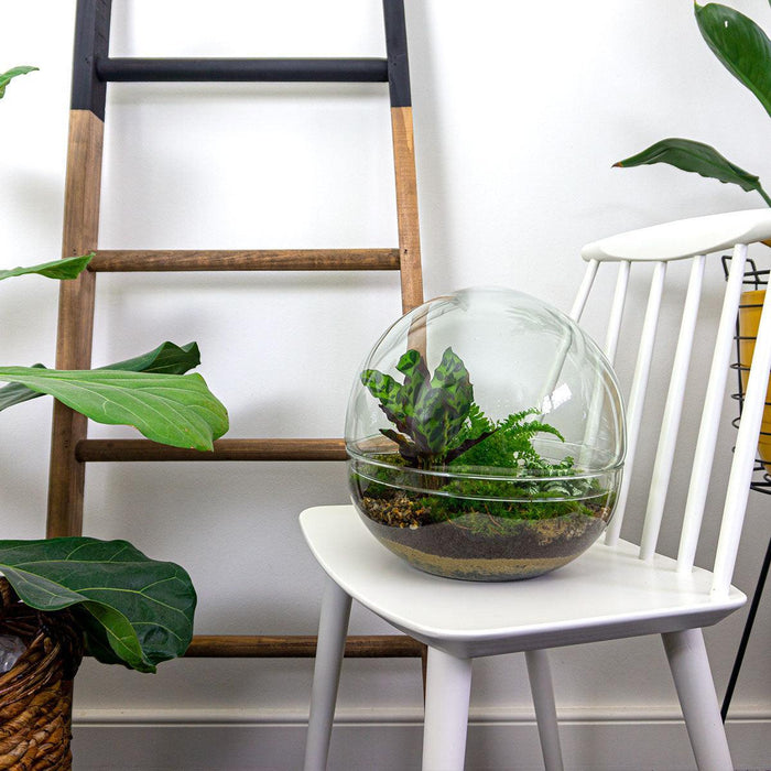 diy-terrarium-dome-xl-↕-30-cm-rake-shovel-tweezer